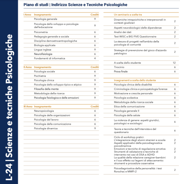 Scienze e Tecniche Psicologiche   Laurea Triennale     (L-24) - immagine 2